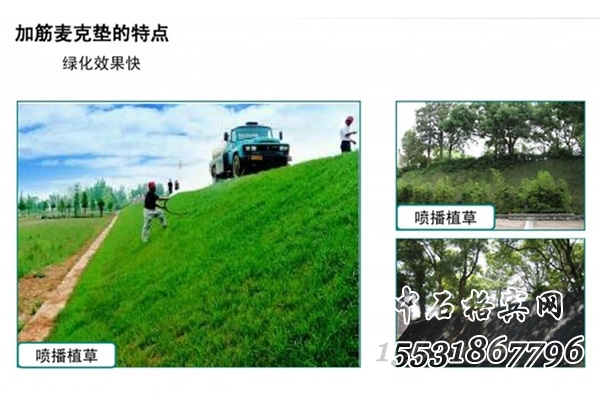 生態(tài)護坡加筋麥克墊